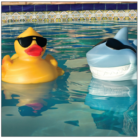 Pool Chlorinator  - Duck