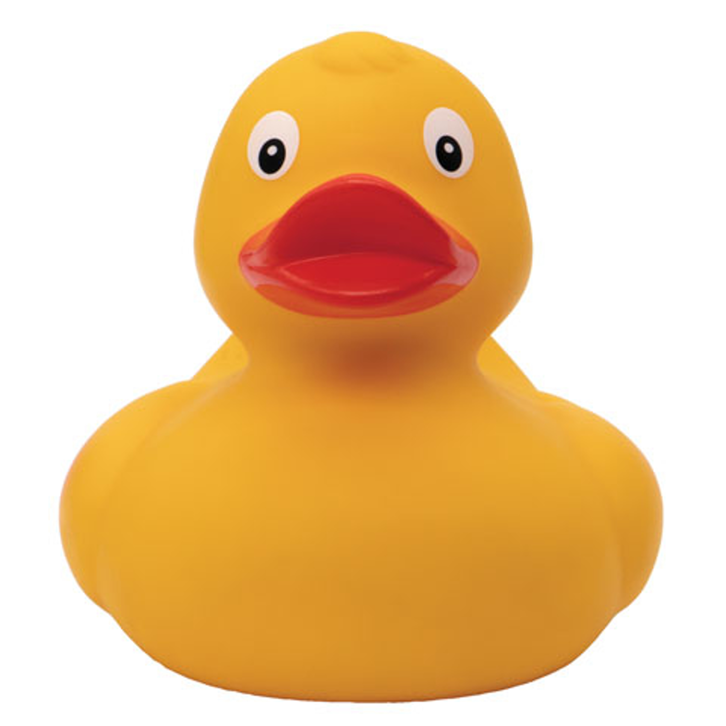Picture of Classic Duck